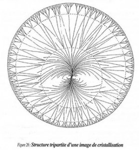 structure tripartite