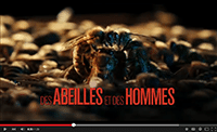 des_abeilles_et_des_hommes