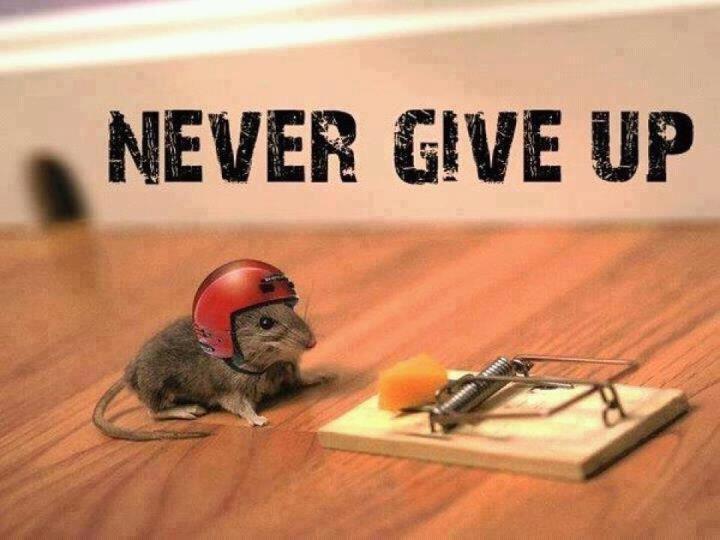 nevergiveup