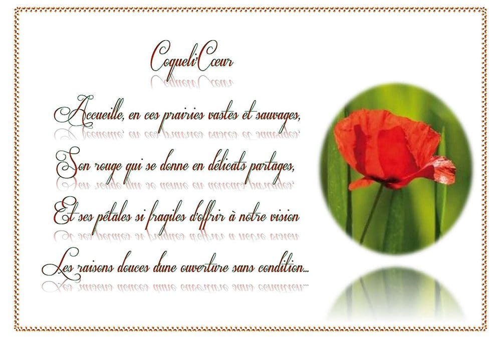 Coqueli’Coeur