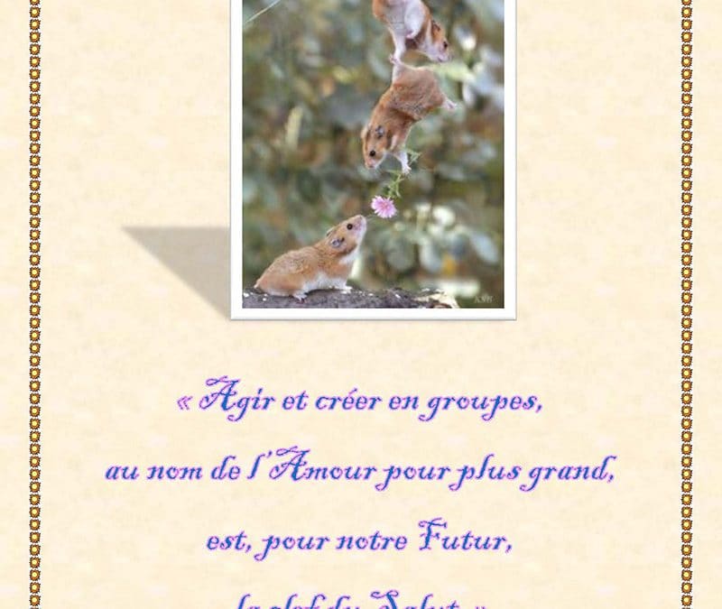 Groupe & Salut