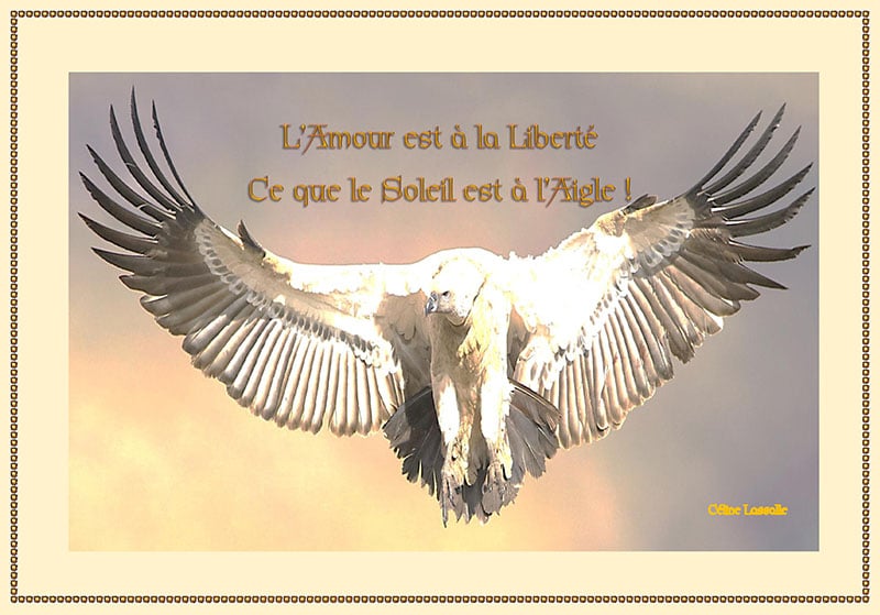 Soleil Amour Aigle…