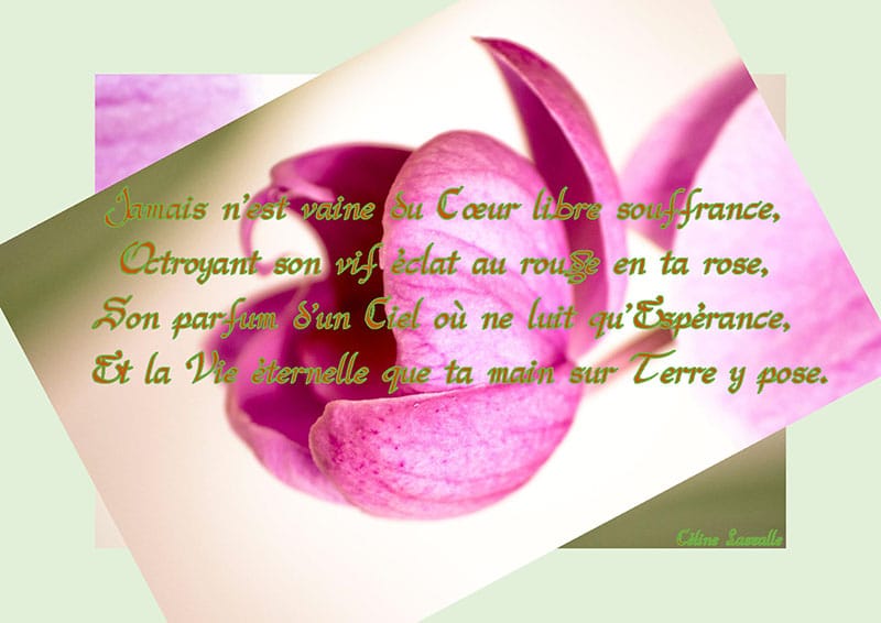 Jamais n’est vaine…