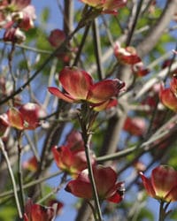 Jeunesse & Nature – En toute confiance,  le cœur s’ouvre